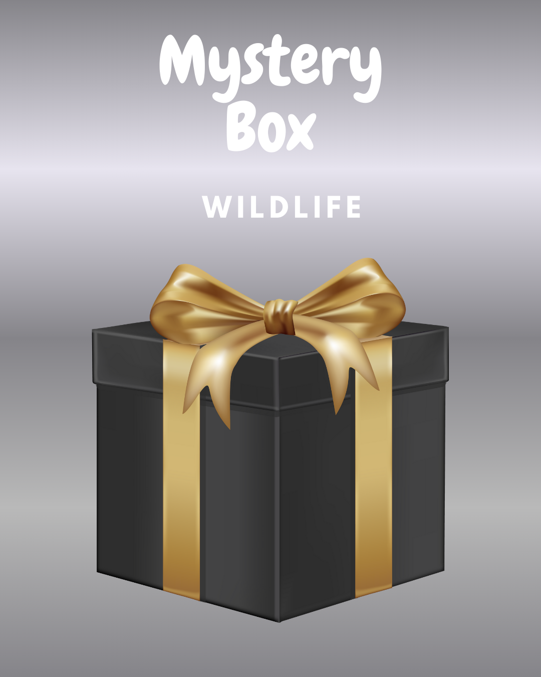 Mystery Box 'Wildlife Theme'