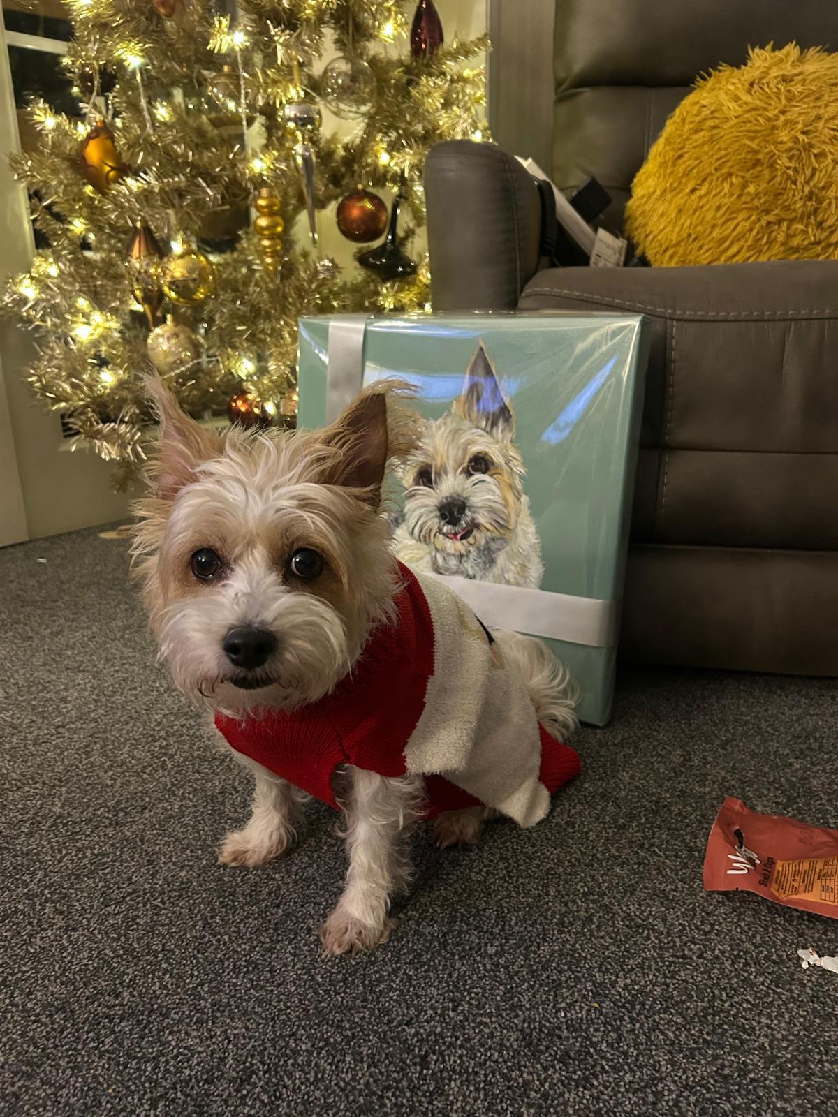 Pet Portrait Canvas 40x40cm