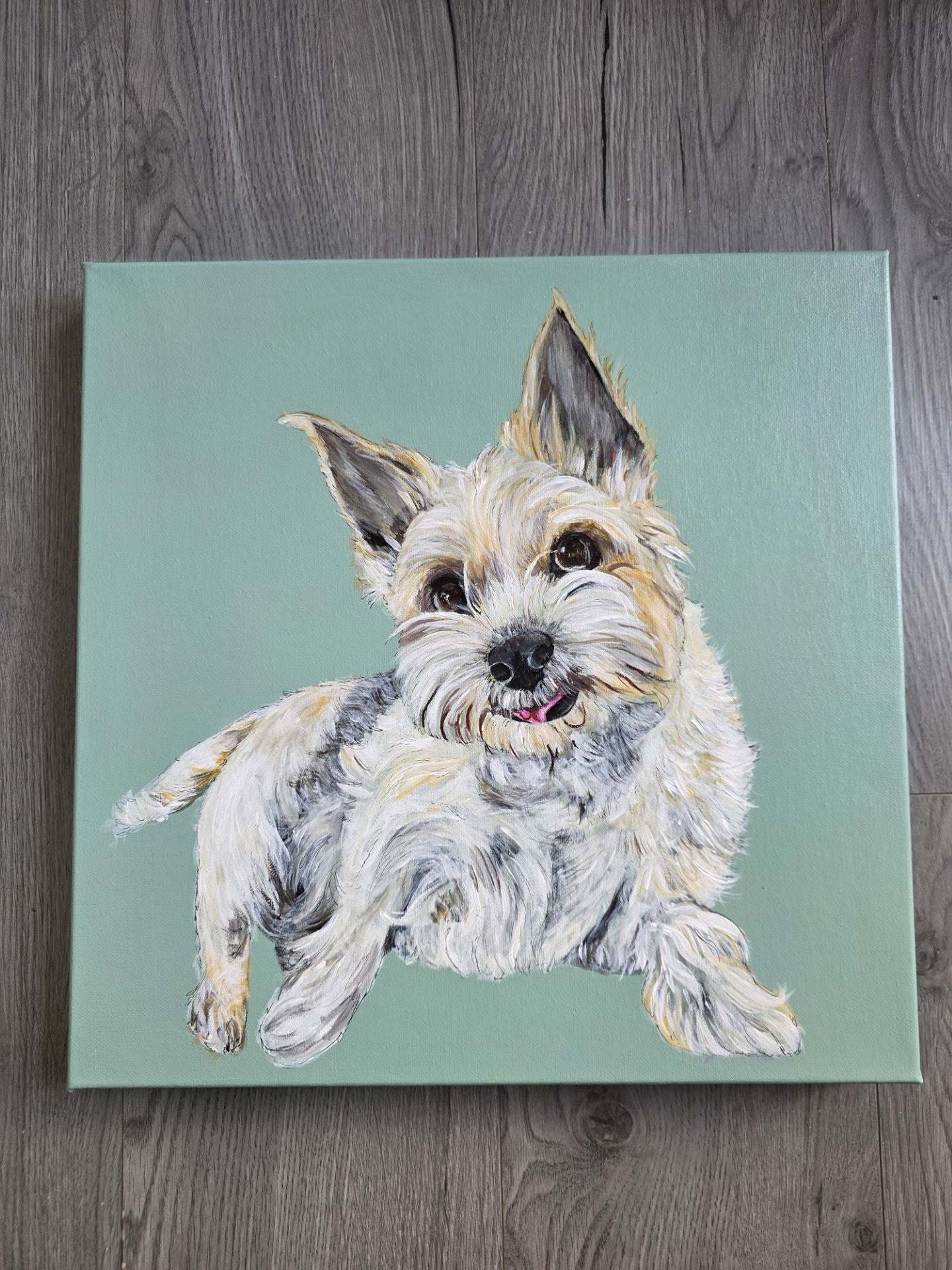 Pet Portrait Canvas 40x40cm