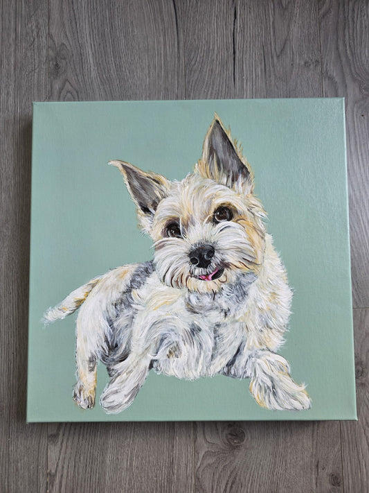 Pet Portrait Canvas 40x40cm