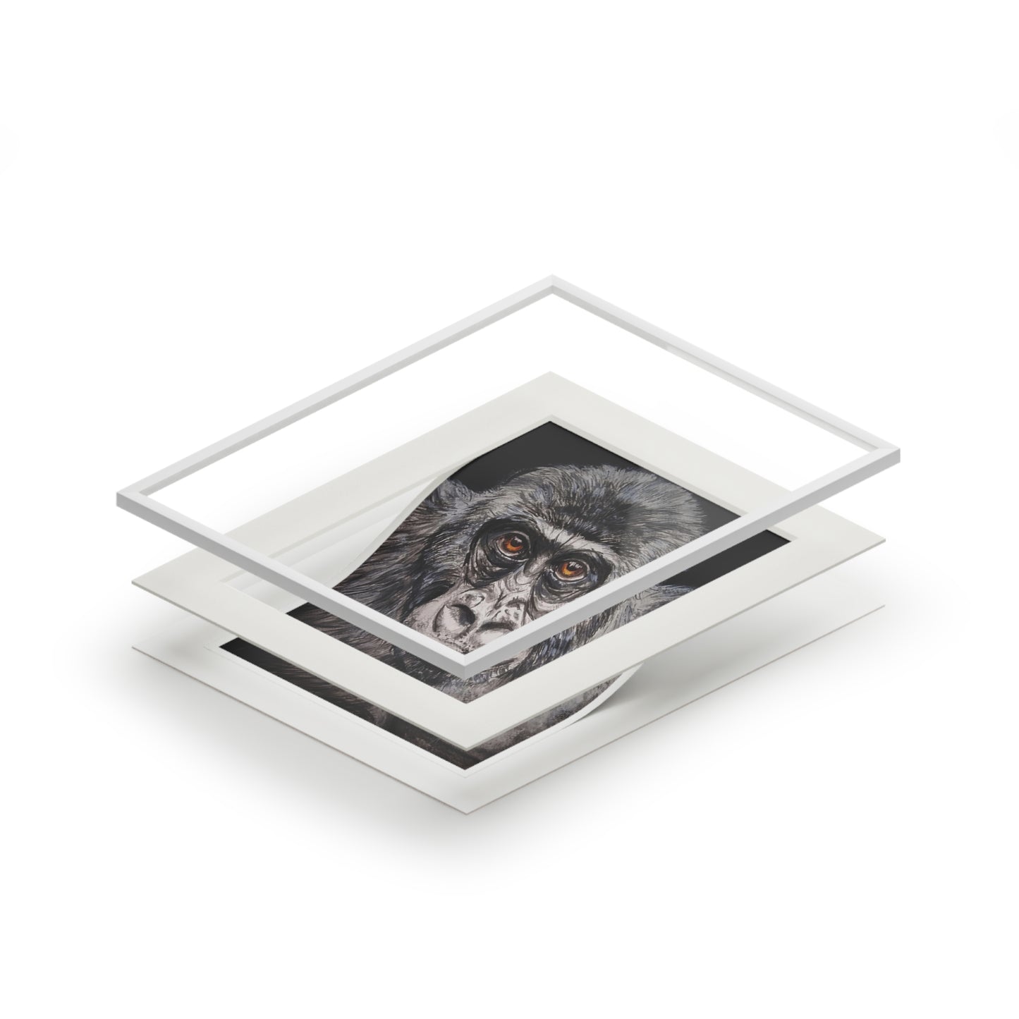 Gorilla Portrait Fine Art Print Passepartout Paper Frame
