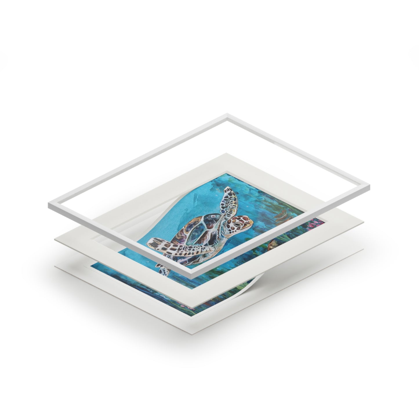 Sea Turtle Illustration Fine Art Print | Passepartout Paper Frame