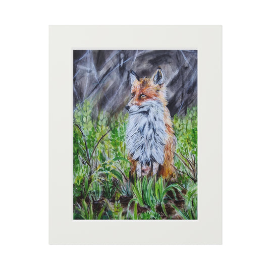 Red Fox Illustration Fine Art Print | Passepartout Paper Frame