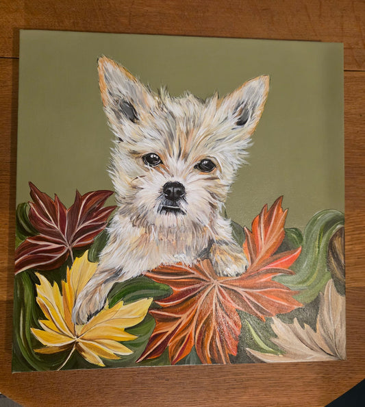 Pet Portrait Canvas 40x40cm