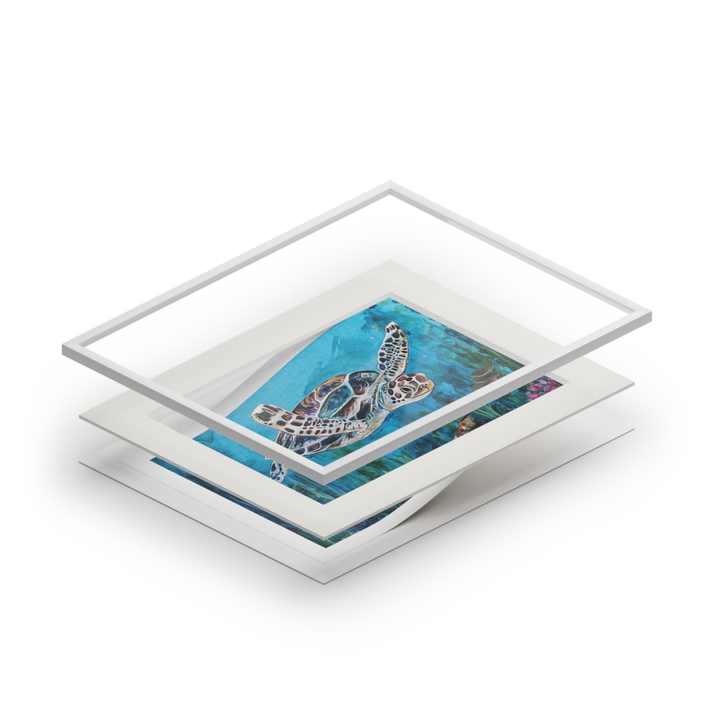 Sea Turtle Illustration Fine Art Print | Passepartout Paper Frame