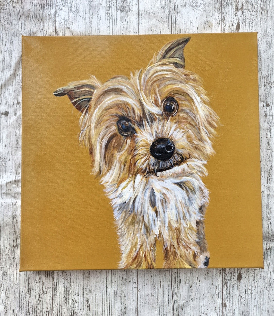 Pet Portrait Canvas 40x40cm
