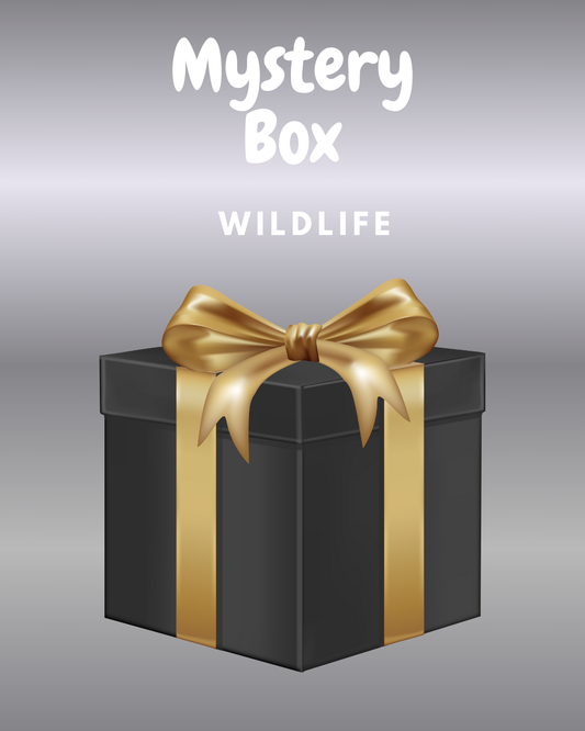 Mystery Box 'Wildlife Theme'