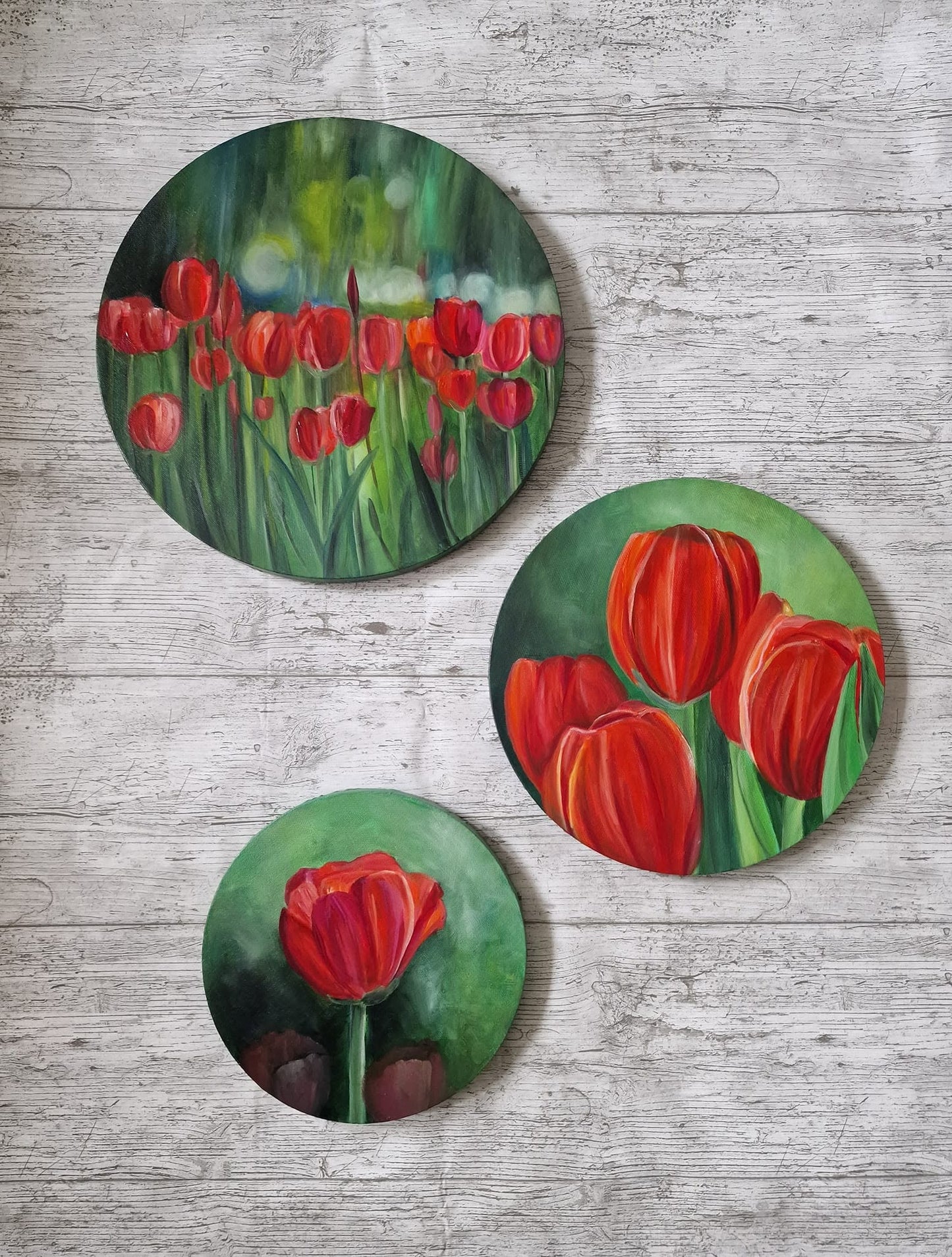 SOLD Colourburst Tulips, Set of Three paintings